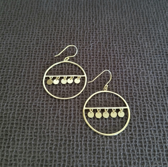 Stella Rose🌹Open Circle⭕ w/Discs📀 Earrings - Picture 9 of 13